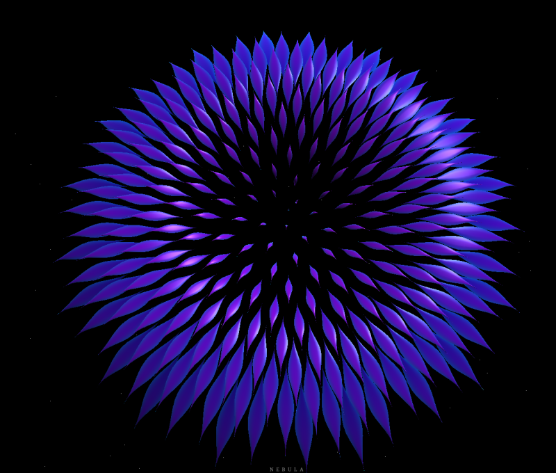 Fibonacci Flowers