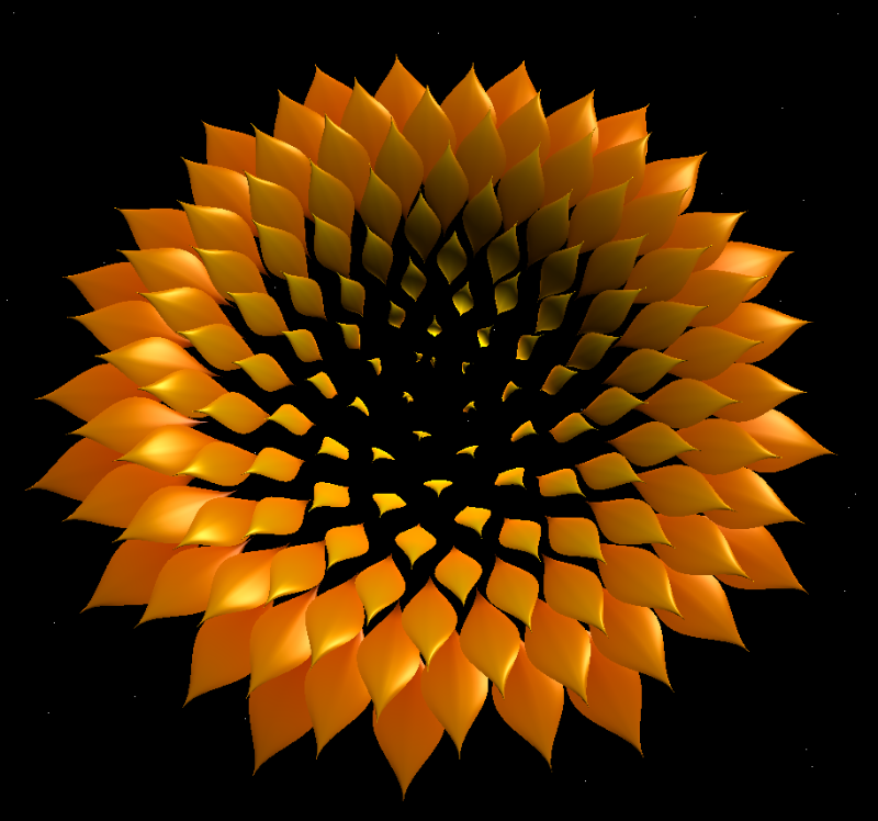 Fibonacci Flowers